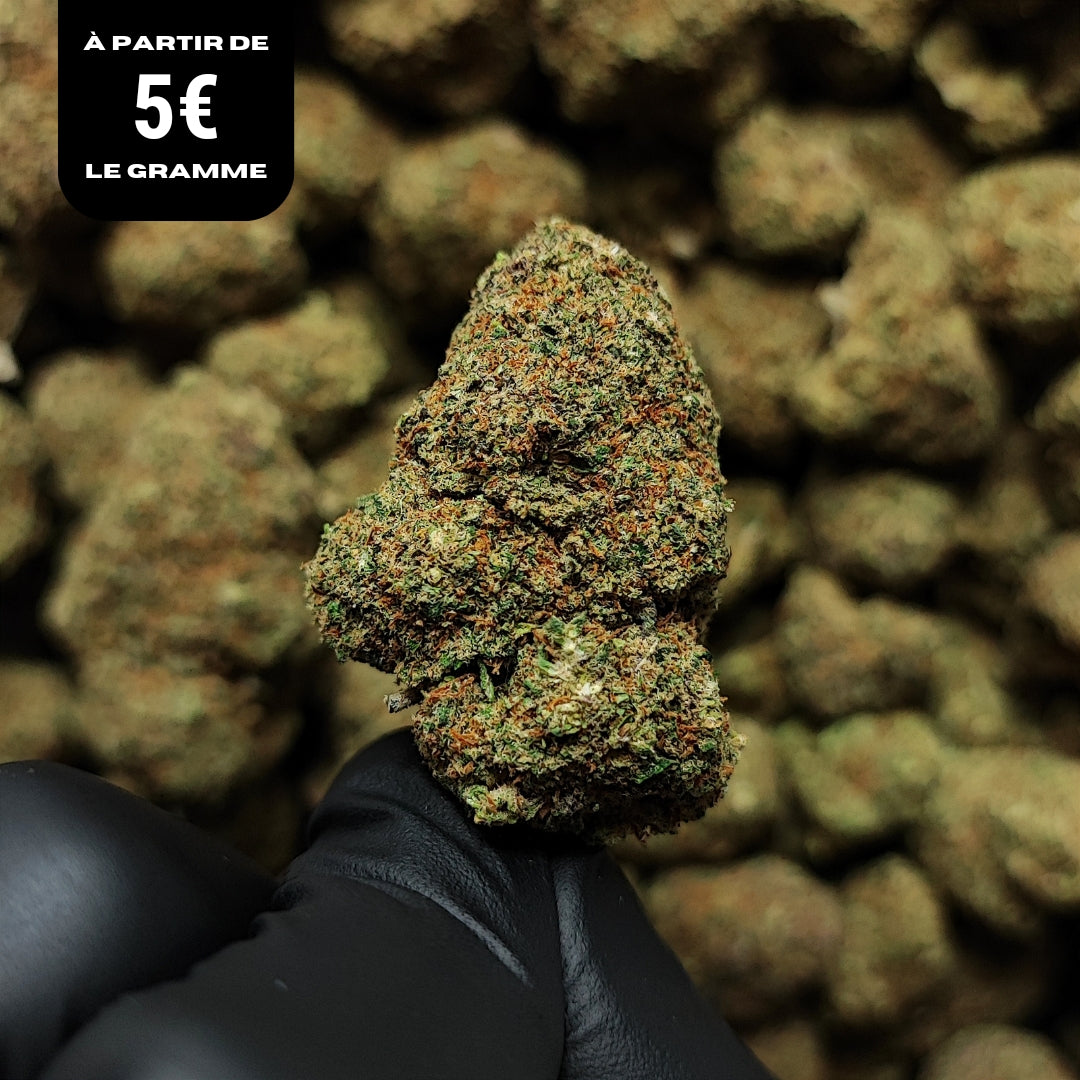GORILLA ZKITTLEZ | CBD | INDOOR CALIFORNIENNE