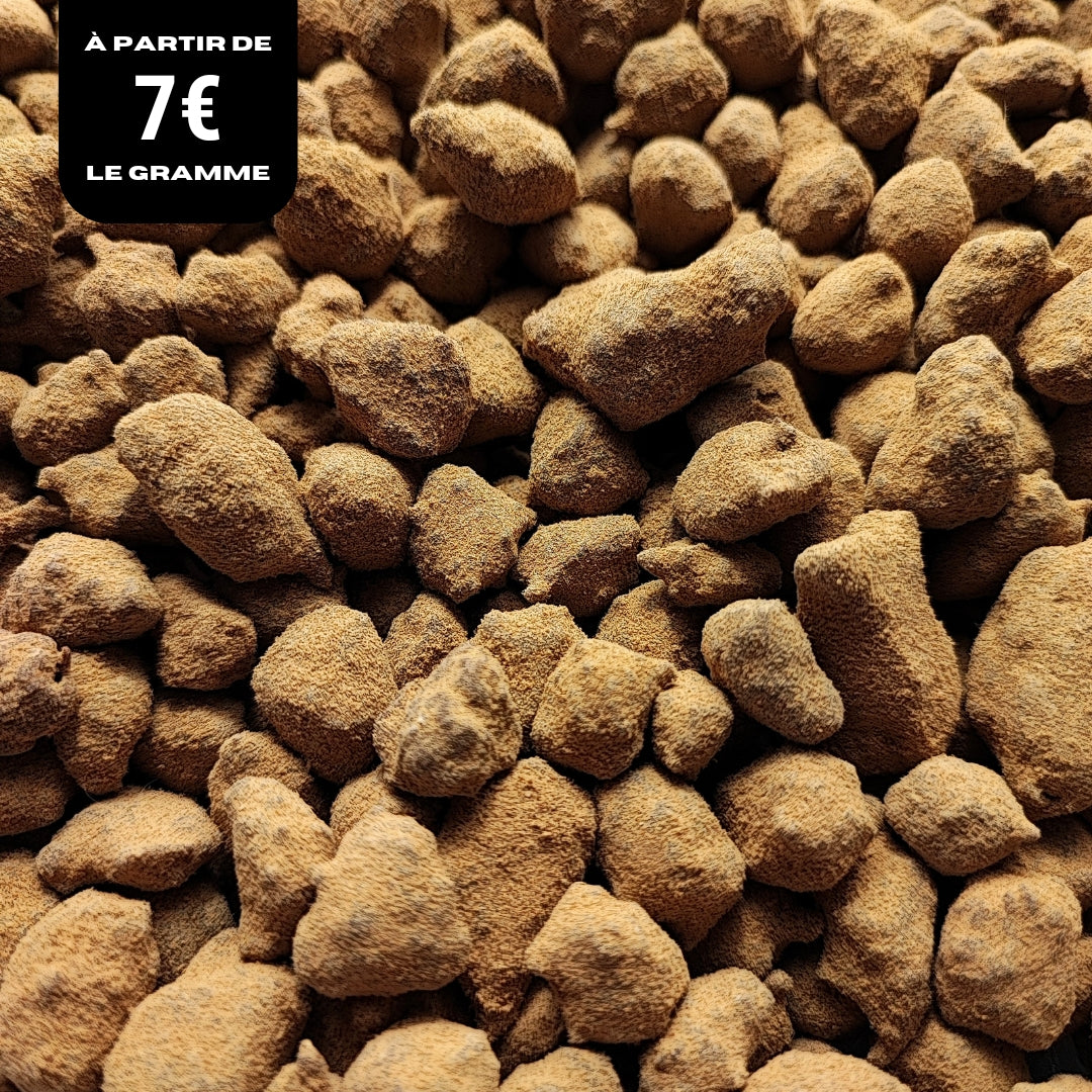 MOON ROCK CBG 🌑 SUPRHEMP®