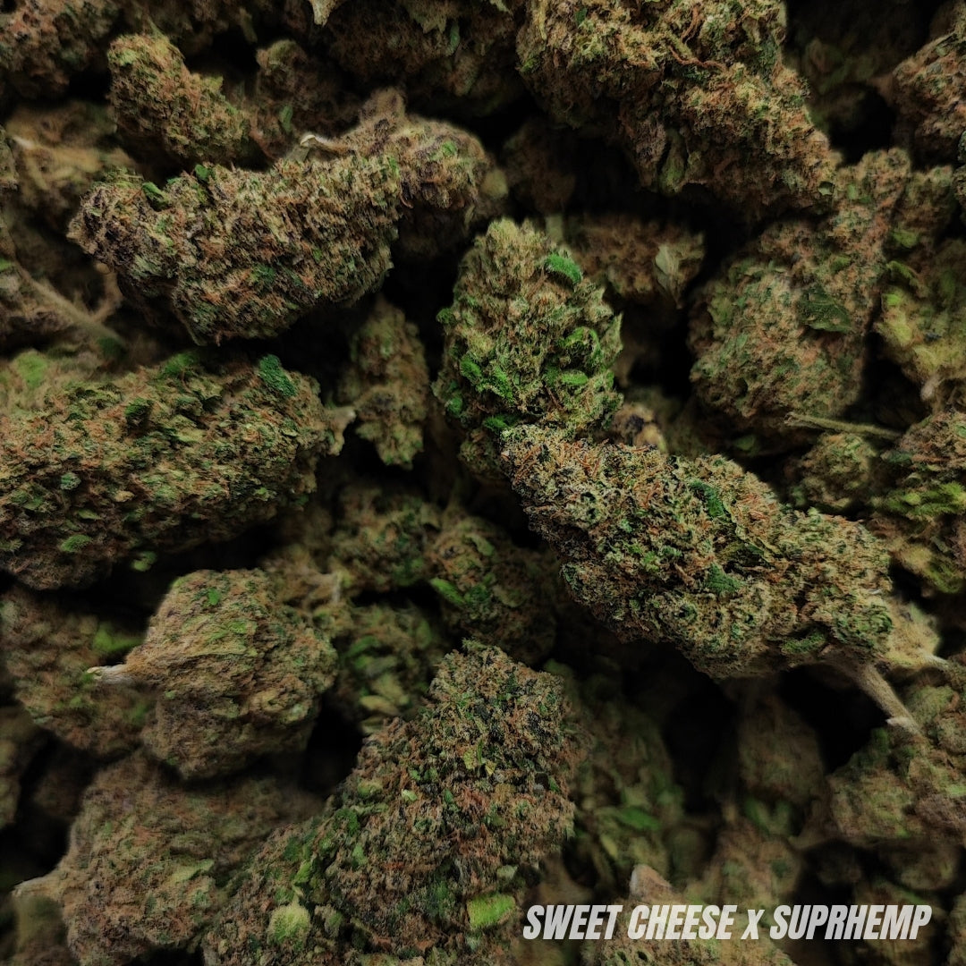 SWEET CHEESE | CBD | INDOOR HYDRO