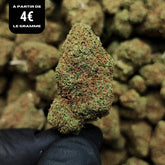 HAPPY AMNESIA | CBD | INDOOR CALIFORNIENNE
