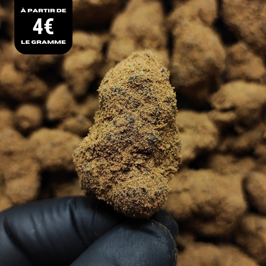 MOON ROCK SUPRÊME | CBD | INDOOR