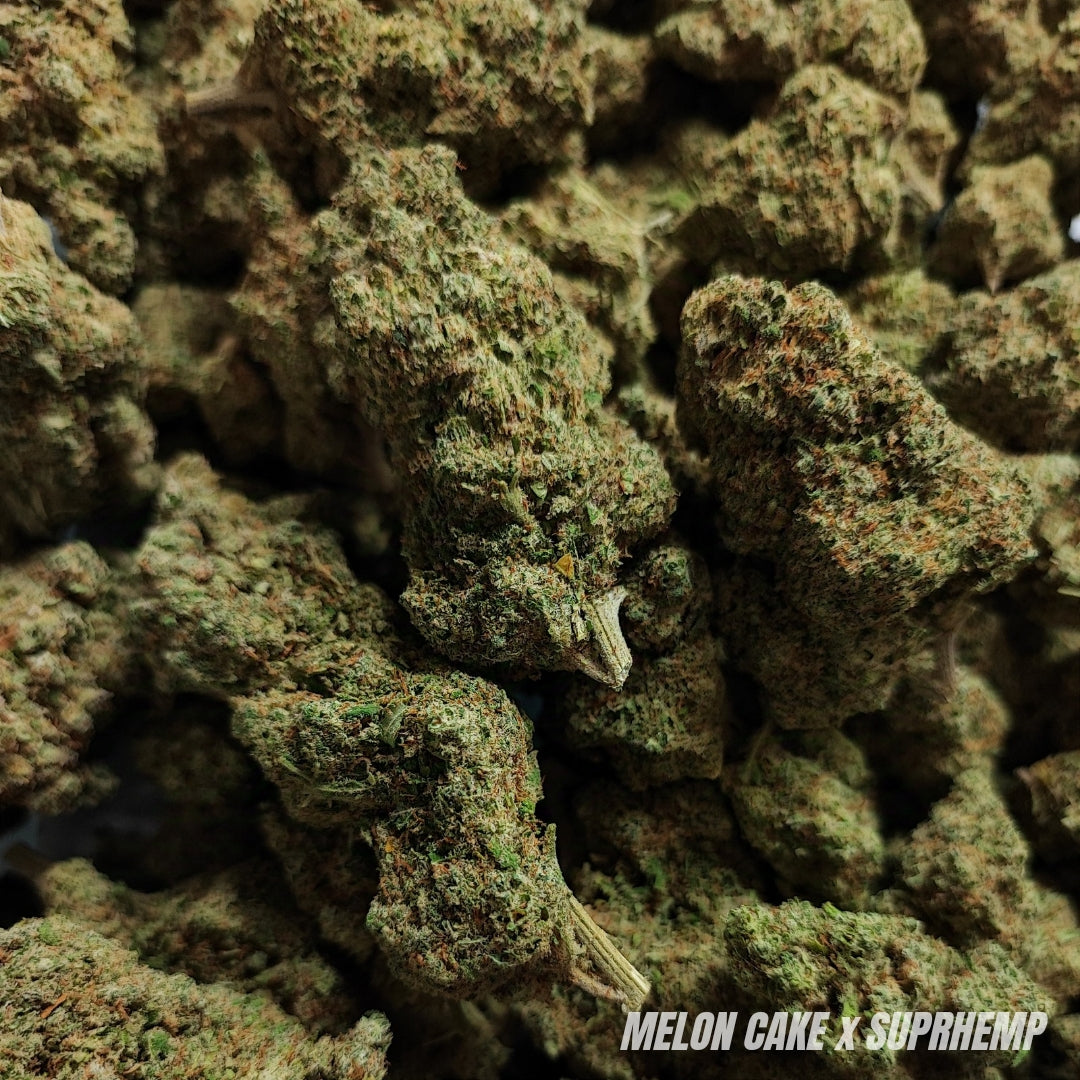 MELON CAKE | CBD | INDOOR HYDRO