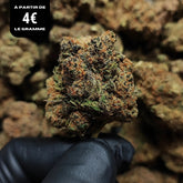 HAPPY RS#11 | CBD | INDOOR