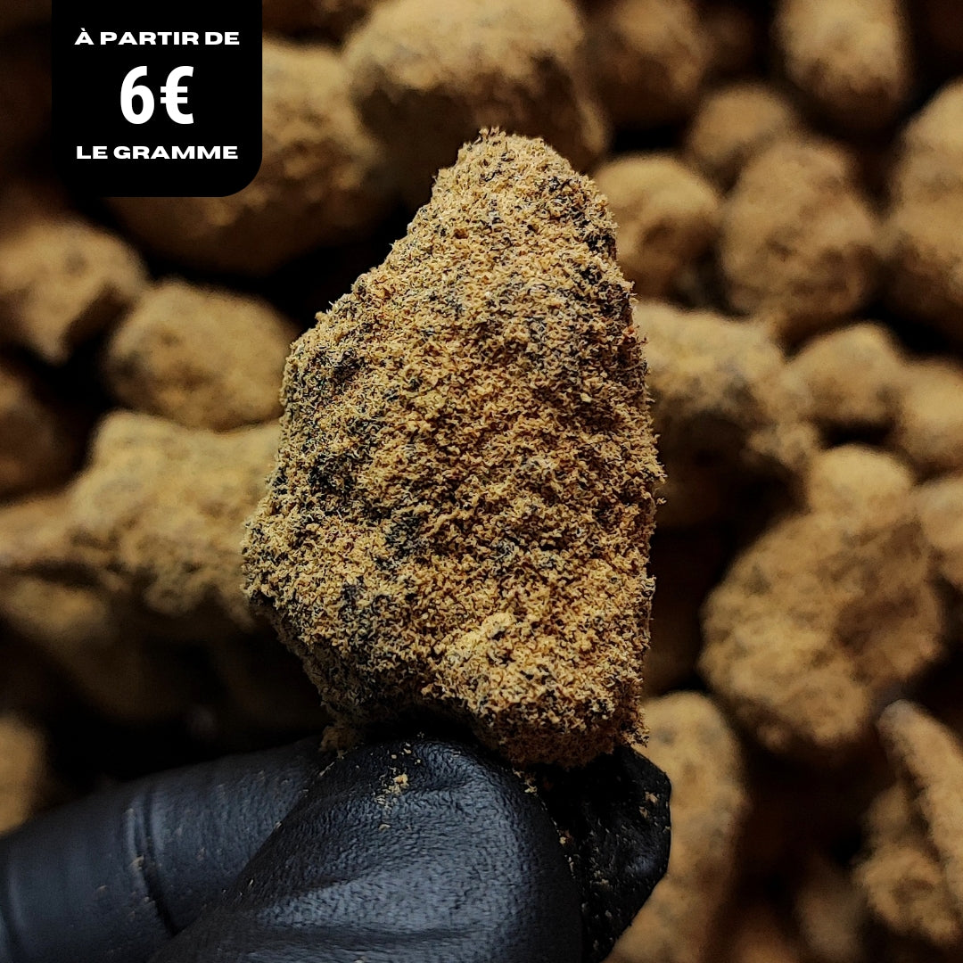 MOON ROCK X-TREM | 30% | INDOOR
