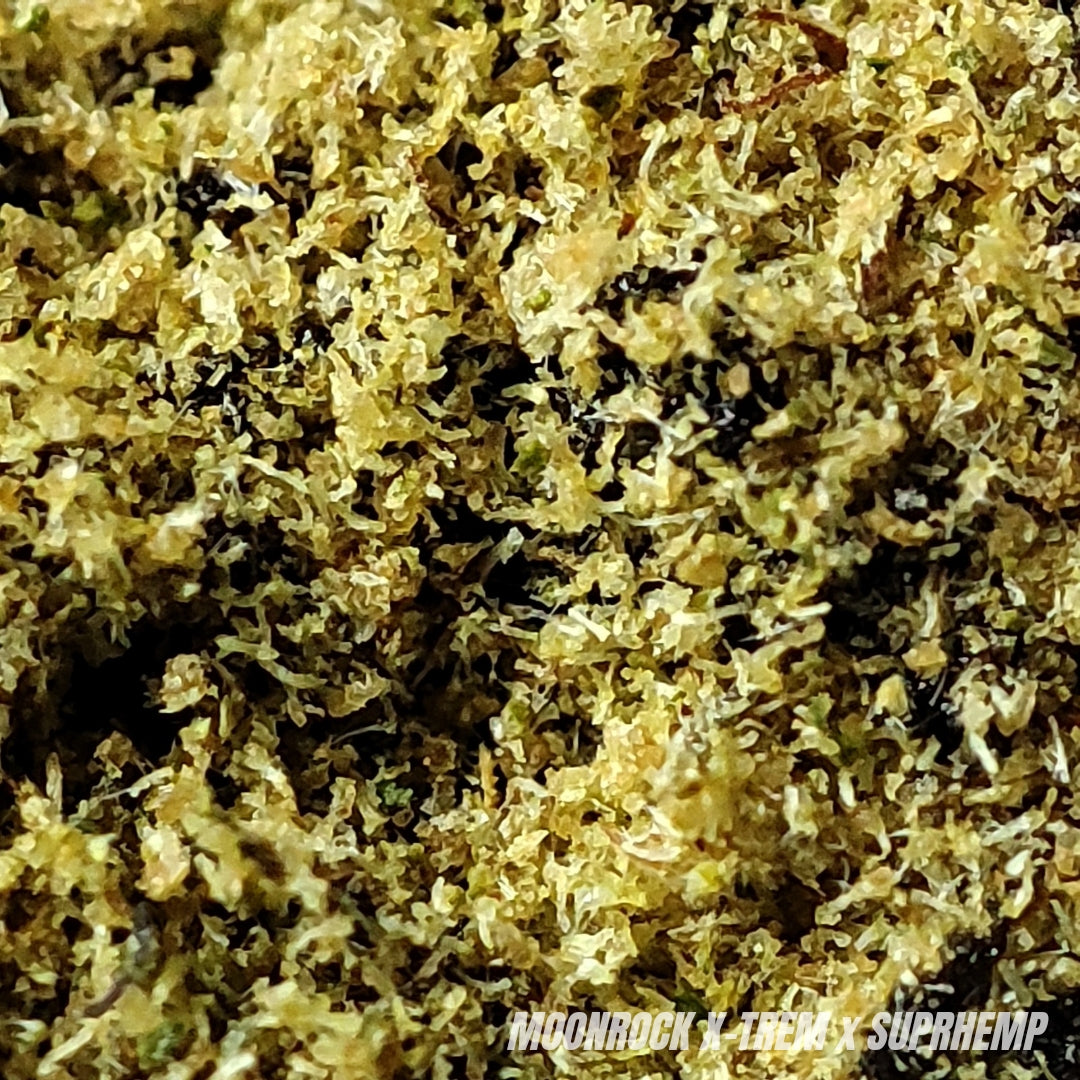 MOON ROCK X-TREM | 30% | INDOOR