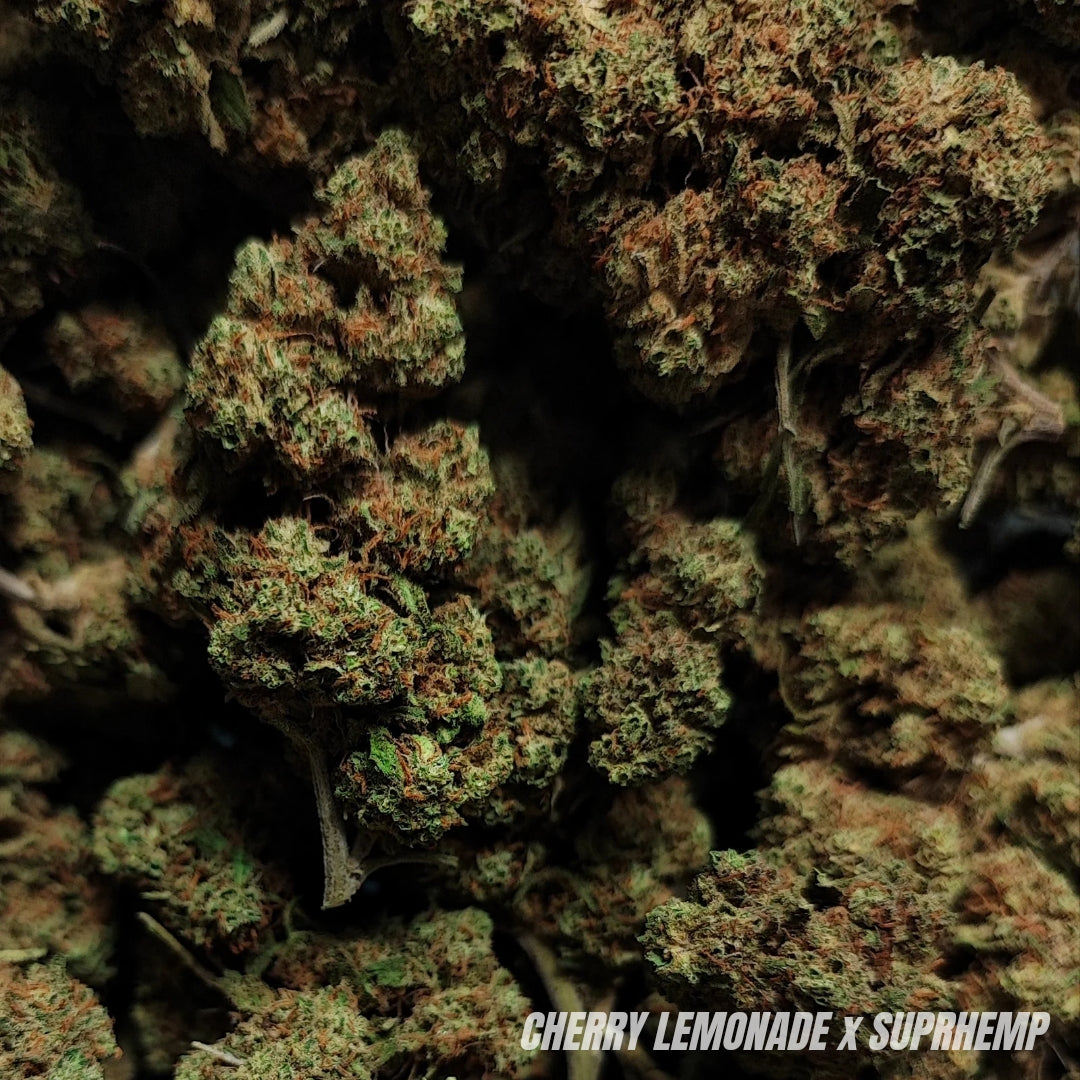 CHERRY LEMONADE | CBD | OUTDOOR | 10G