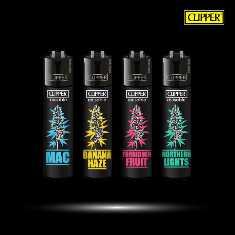 BRIQUET CLIPPER | PLANTZ1