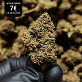 HAPPY ICE CREAM | STR 50% 🤯 | GLASSHOUSE