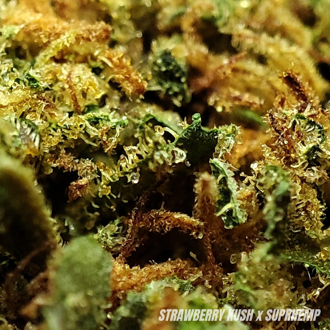 HAPPY STRAWBERRY KUSH | CBD | GLASSHOUSE
