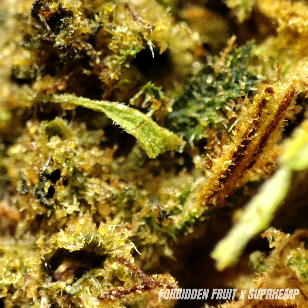 FORBIDDEN FRUIT | CBD | GLASSHOUSE | 10G
