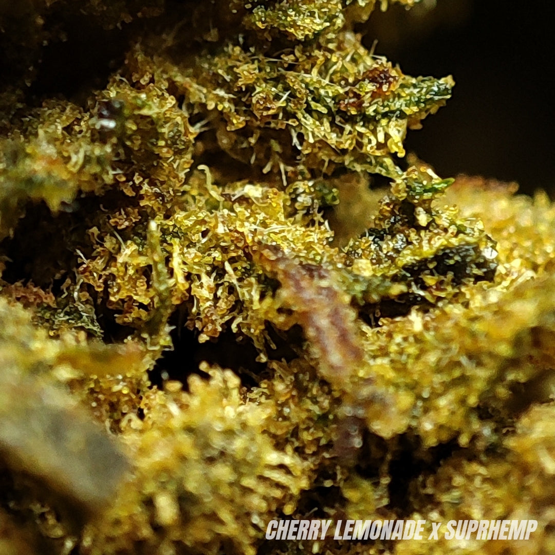 CHERRY LEMONADE | STR ++ 50% 🤯 | GLASSHOUSE