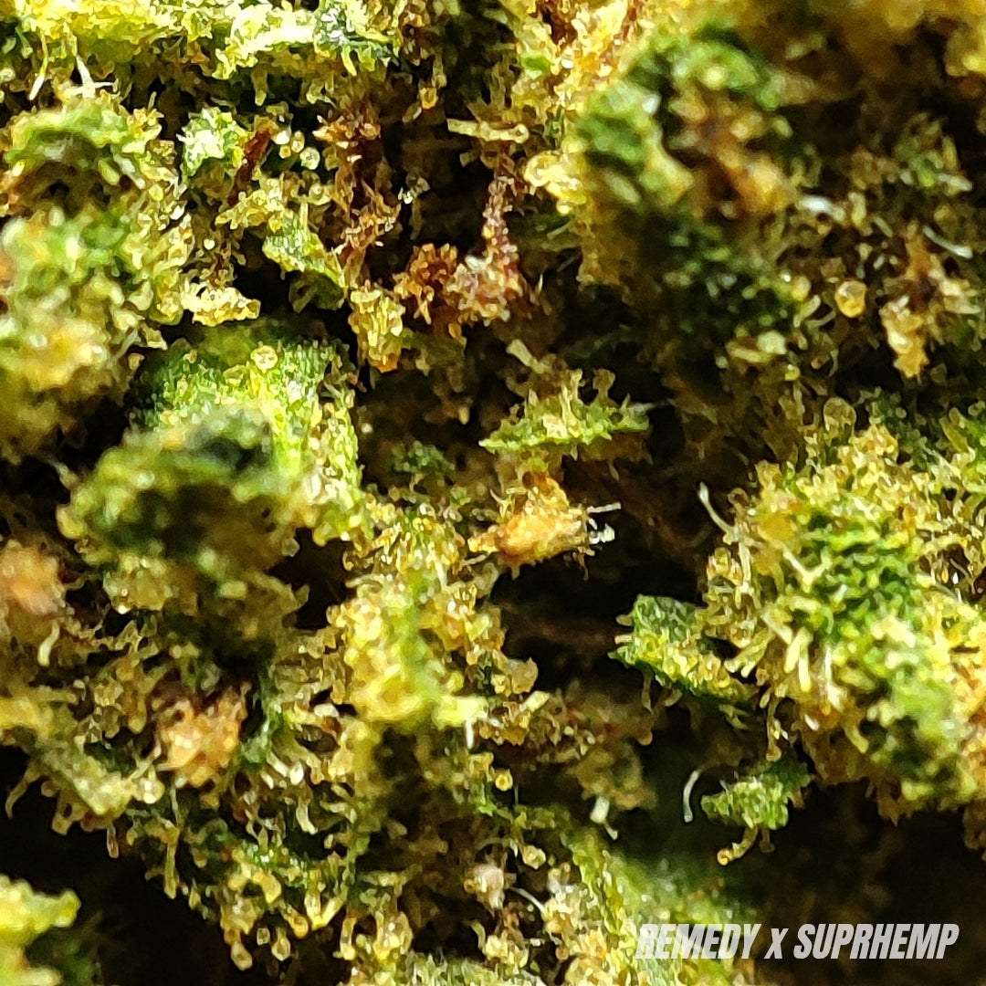 REMEDY | CBD | GLASSHOUSE | 10G