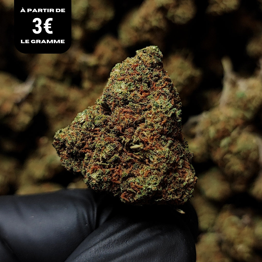 HAPPY STRAWBERRY KUSH | CBD | GLASSHOUSE