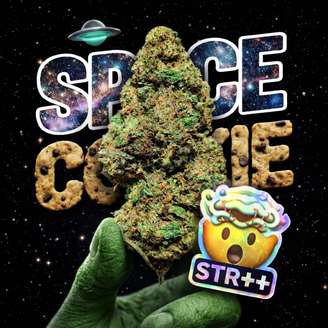 SPACE COOKIE | STR ++ 50% 🤯 | INDOOR