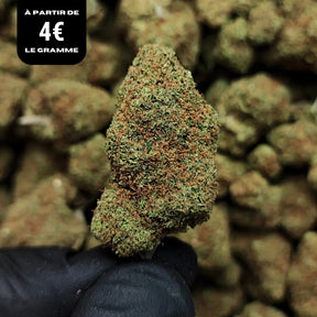 AMNESIA | CBD | INDOOR CALIFORNIENNE