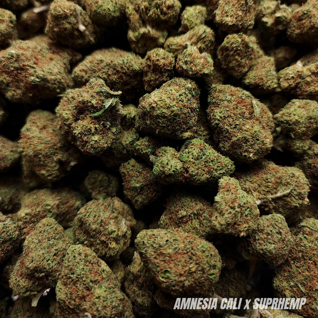 AMNESIA | CBD | INDOOR CALIFORNIENNE