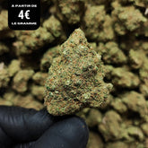 HAPPY CANDY KUSH | CBD | INDOOR CALIFORNIENNE