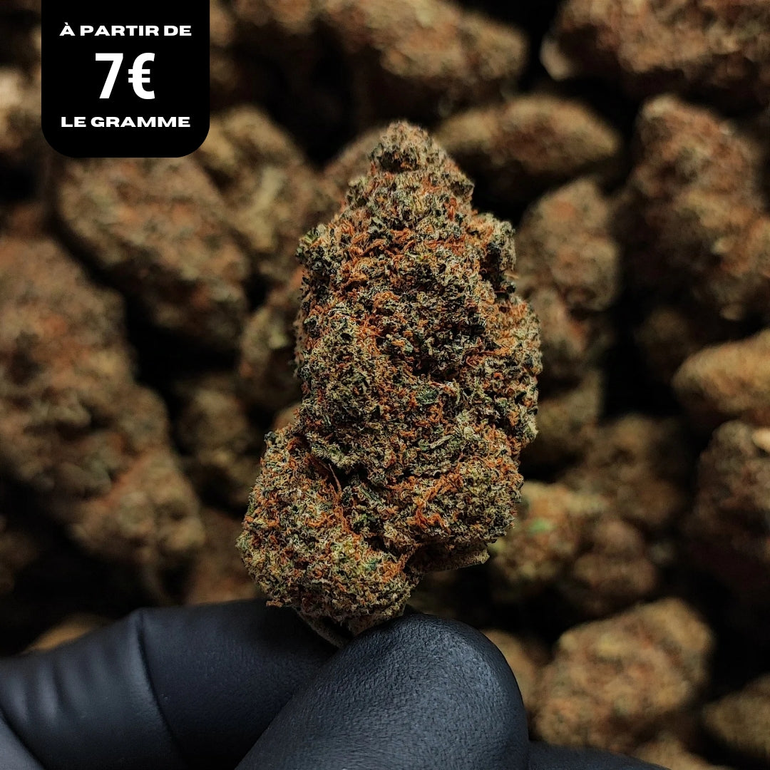 LA BANANA | X-TREM 30% | INDOOR