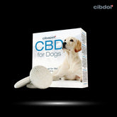 PASTILLE | CBD | POUR CHIEN