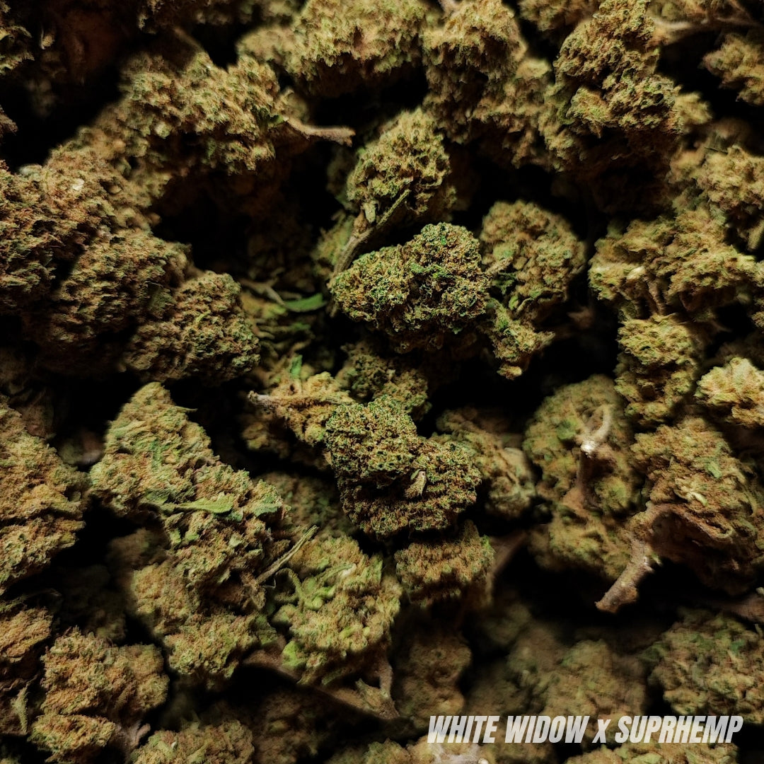 WHITE WIDOW | CBD | OUTDOOR | 10G