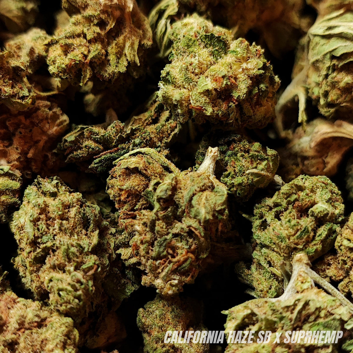 SMALL BUD CALIFORNIA HAZE | CBD | GREENHOUSE | 10G