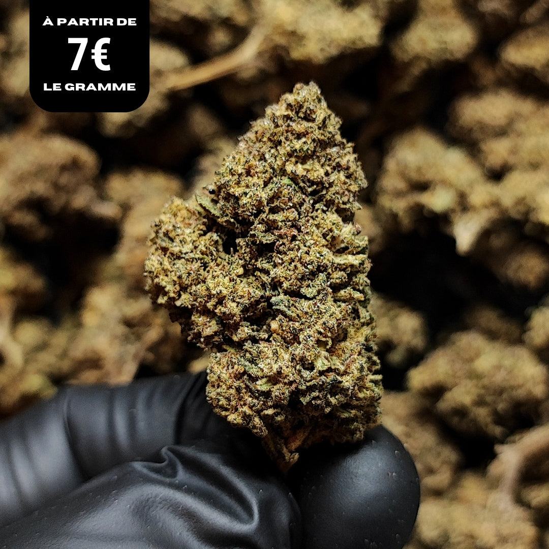 ICE CREAM | STR 50% 🤯 | GLASSHOUSE