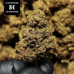 CHERRY LEMONADE | STR ++ 50% 🤯 | GLASSHOUSE