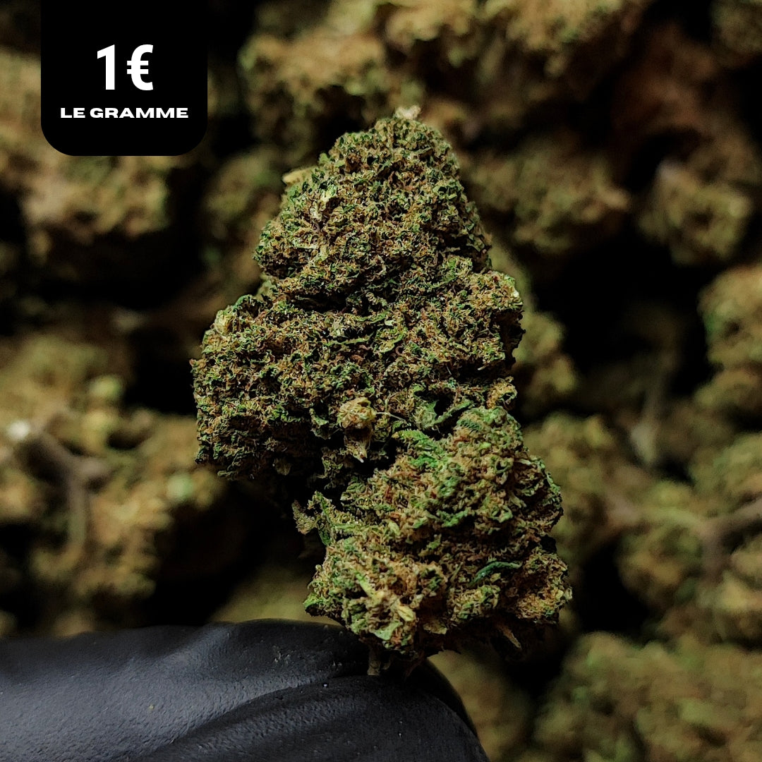 OG KUSH | CBD | OUTDOOR | 10G