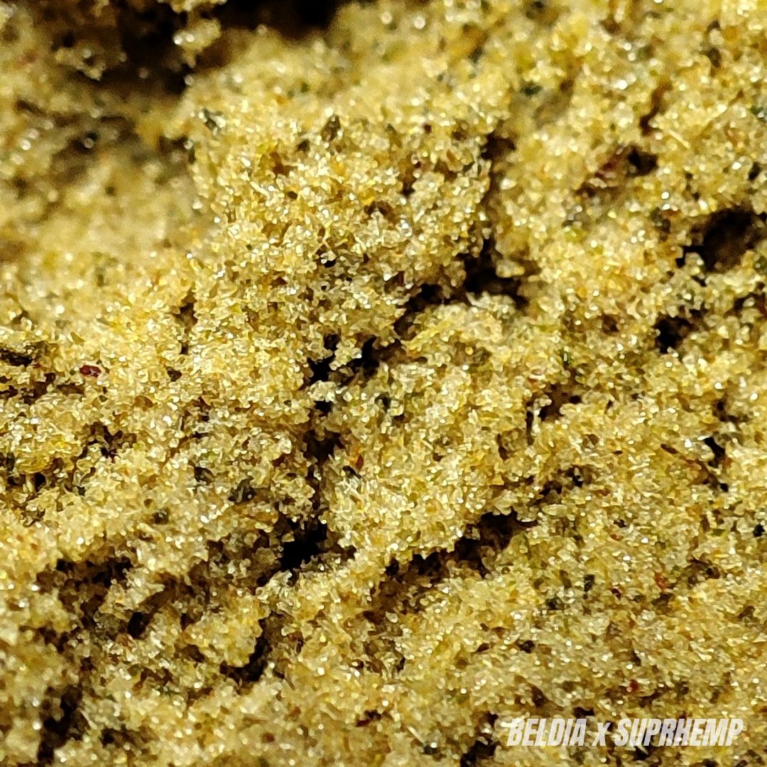 BELDIA | STR 50% 🤯