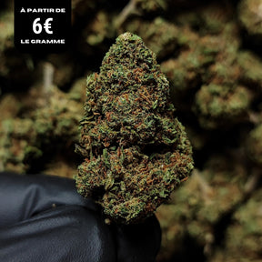 CHERRY LEMONADE | STRONG 20% | GLASSHOUSE