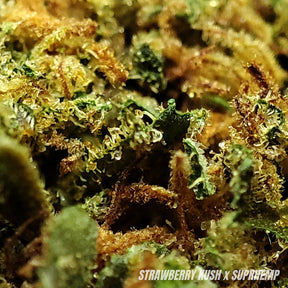 STRAWBERRY KUSH | CBD | GLASSHOUSE