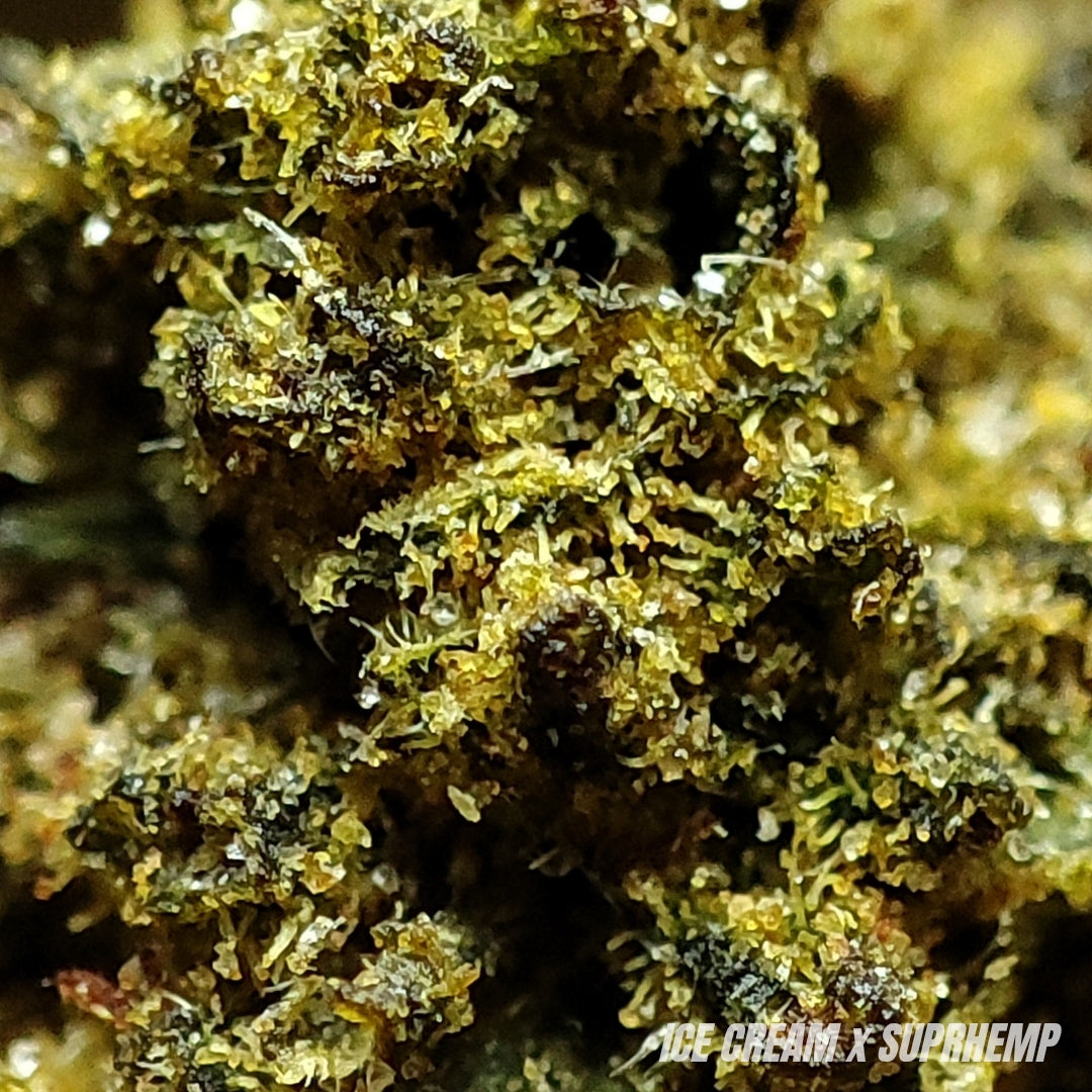 ICE CREAM | STR 50% 🤯 | GLASSHOUSE