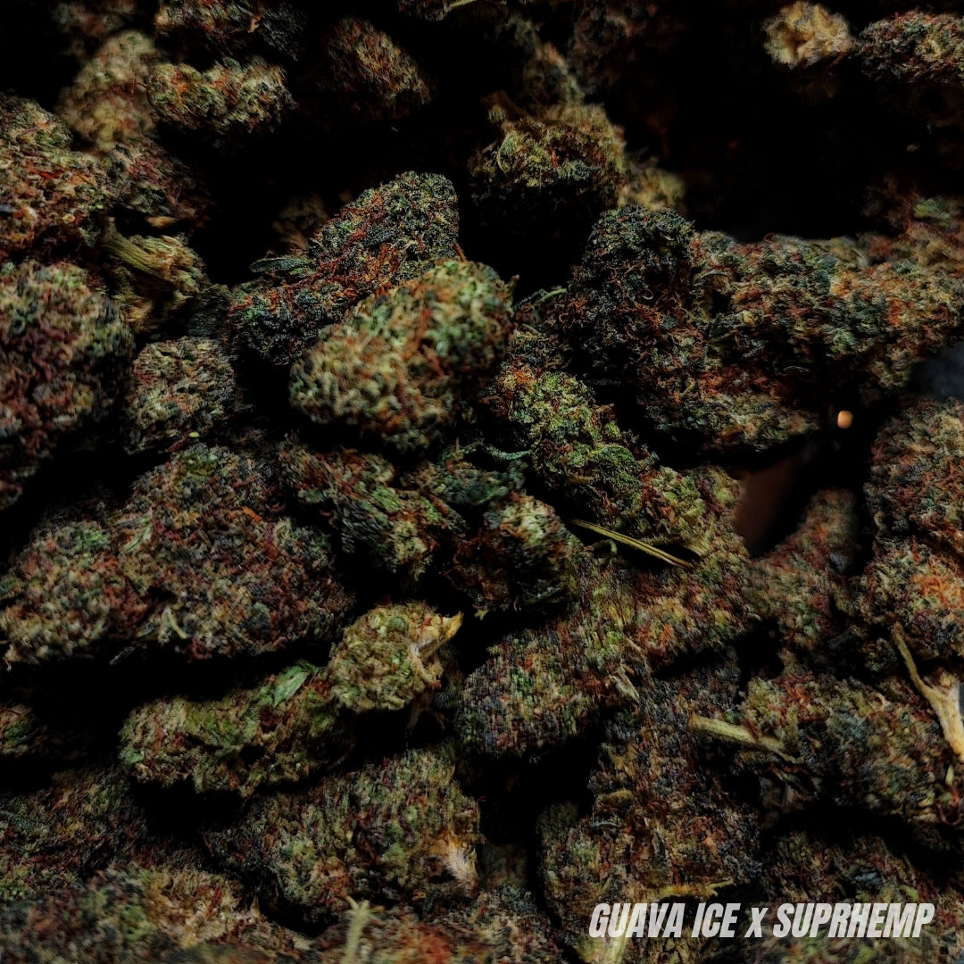 GUAVA ICE | X-TREM 2.0 30% | INDOOR