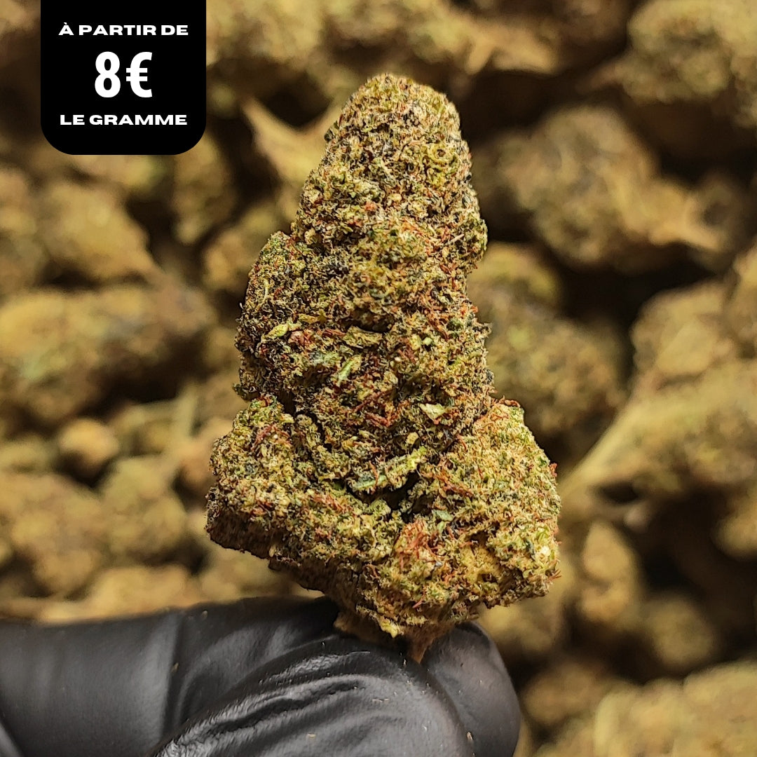 MONSTER COOKIES| DC-X 30% 🤯 | INDOOR