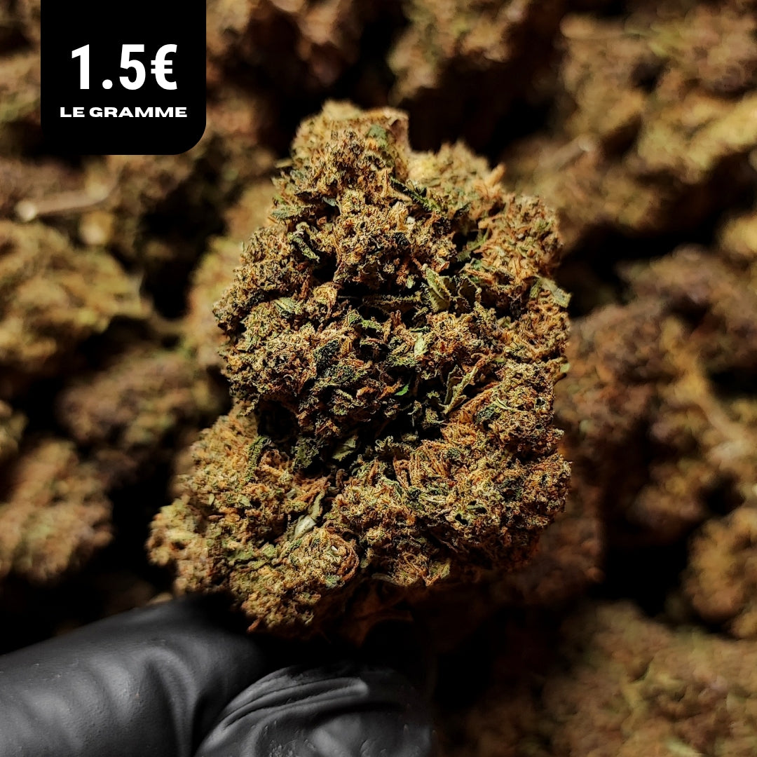 FORBIDDEN FRUIT | CBD | GLASSHOUSE | 10G