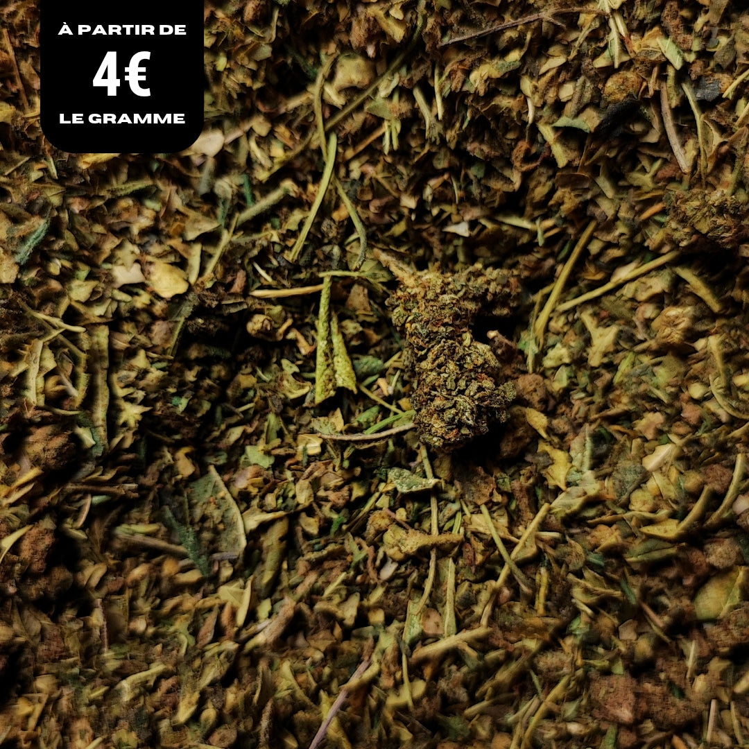 TRIM | X-TREM
