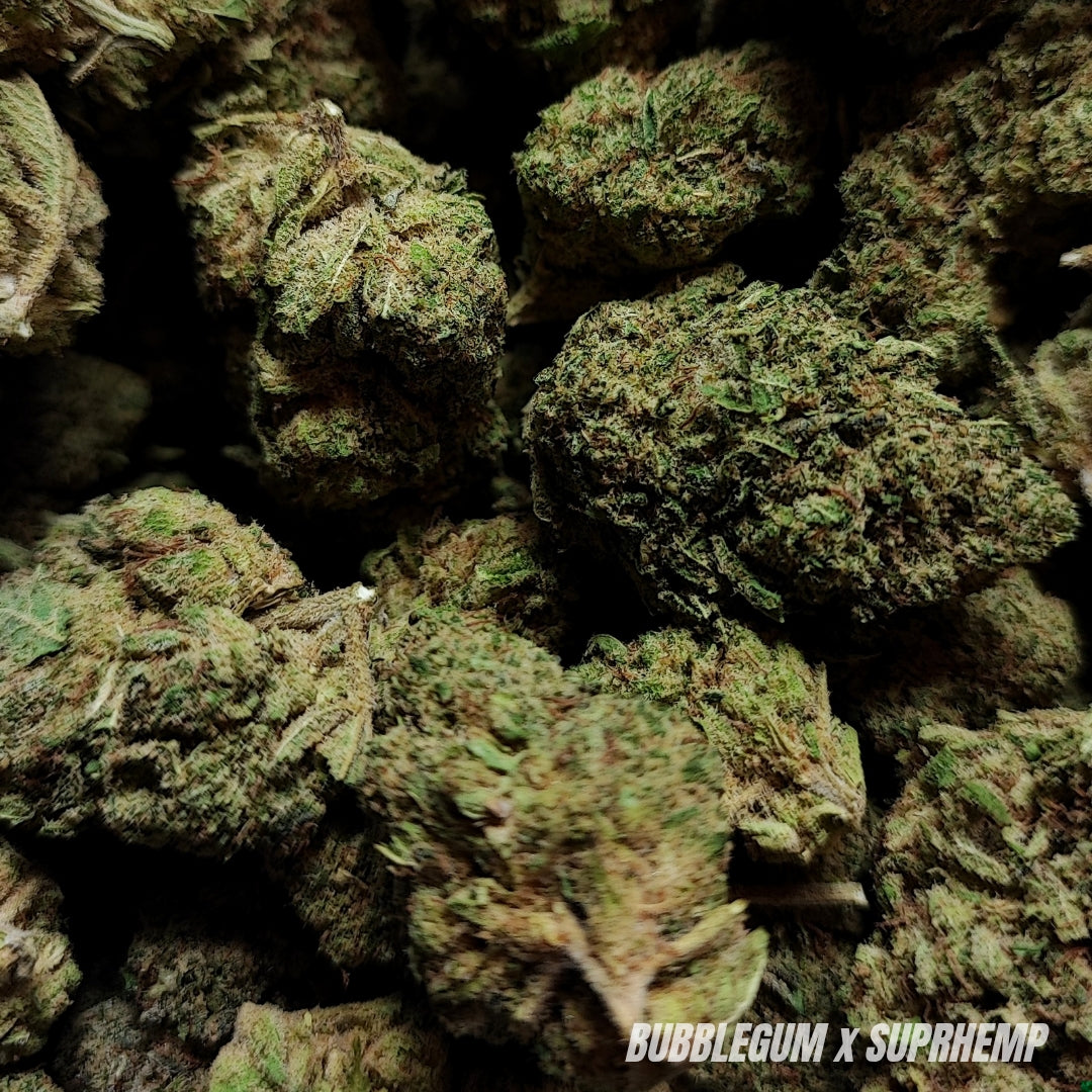 BUBBLEGUM | CBD | INDOOR