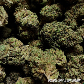 BUBBLEGUM | CBD | INDOOR