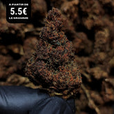 ULTRA PINK | X-TREM 30% | INDOOR