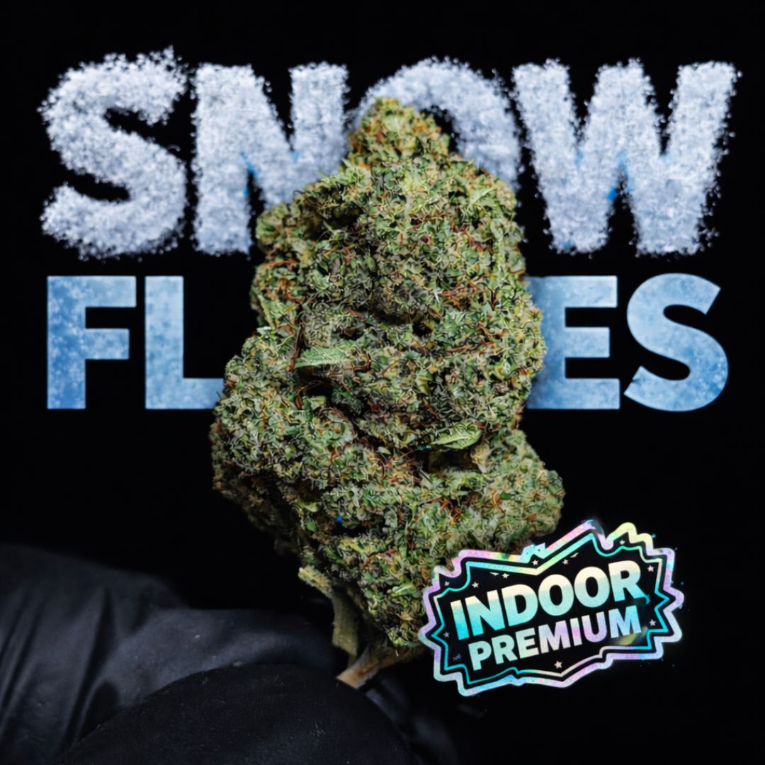 SNOW FLAKES | CBD | INDOOR