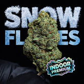 SNOW FLAKES | CBD | INDOOR