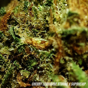 CHERRY LEMONADE | STRONG 20% | GLASSHOUSE