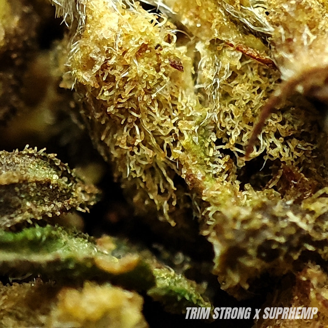TRIM | STRONG | 20%