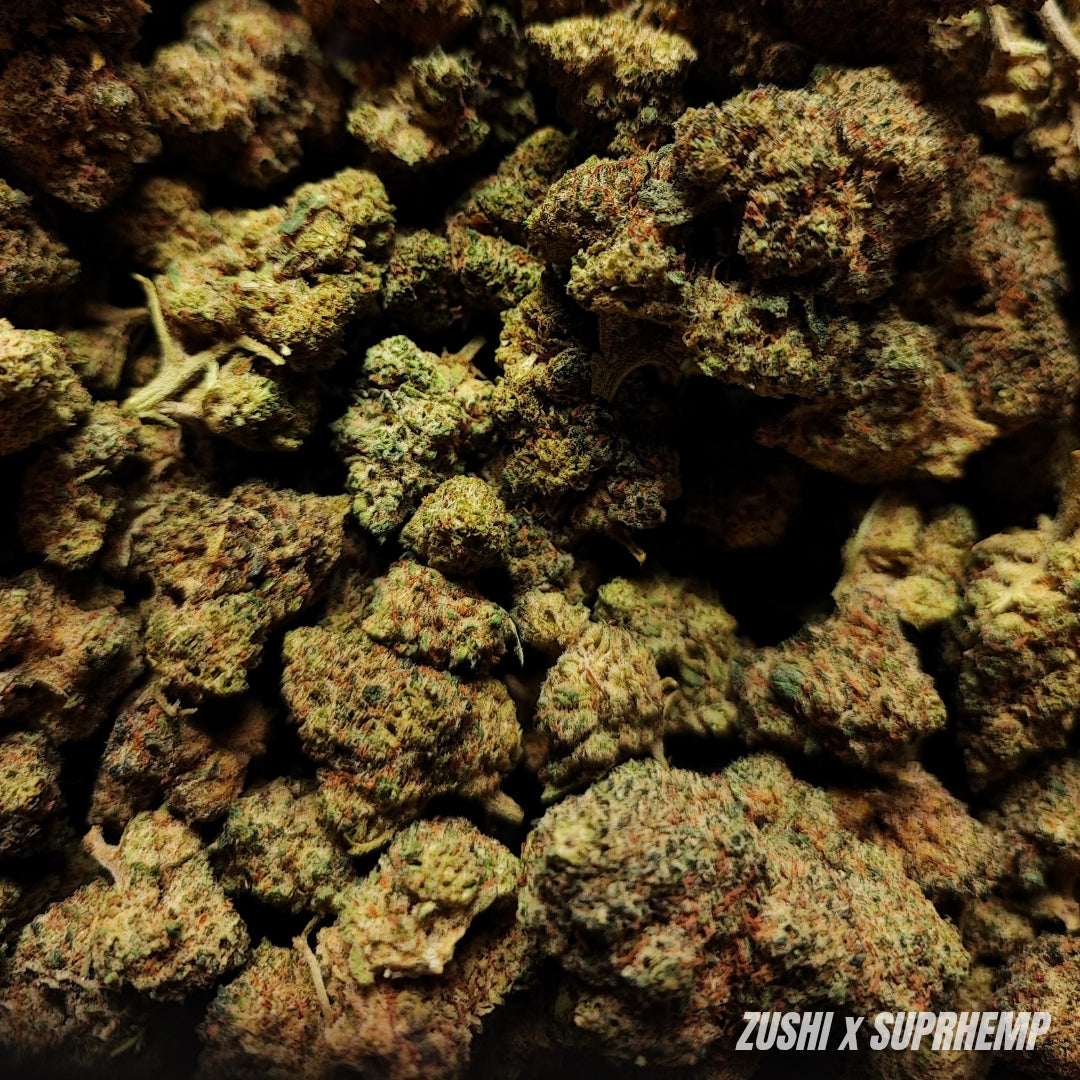 ZUSHI | STR ++ 50% 🤯 | INDOOR