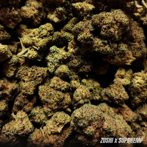 ZUSHI | STR ++ 50% 🤯 | INDOOR