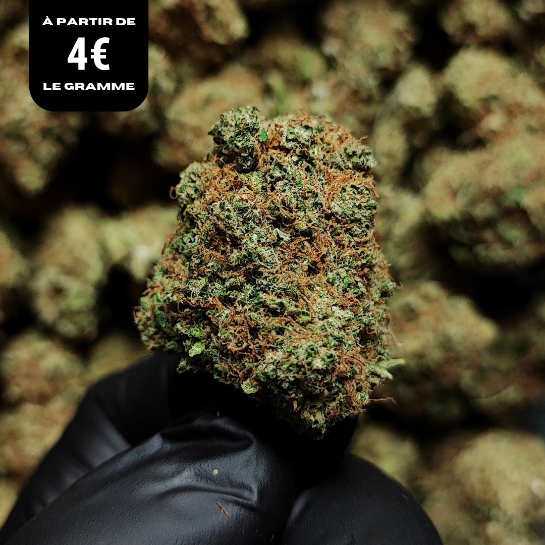 LIBERTY HAZE | CBD | INDOOR