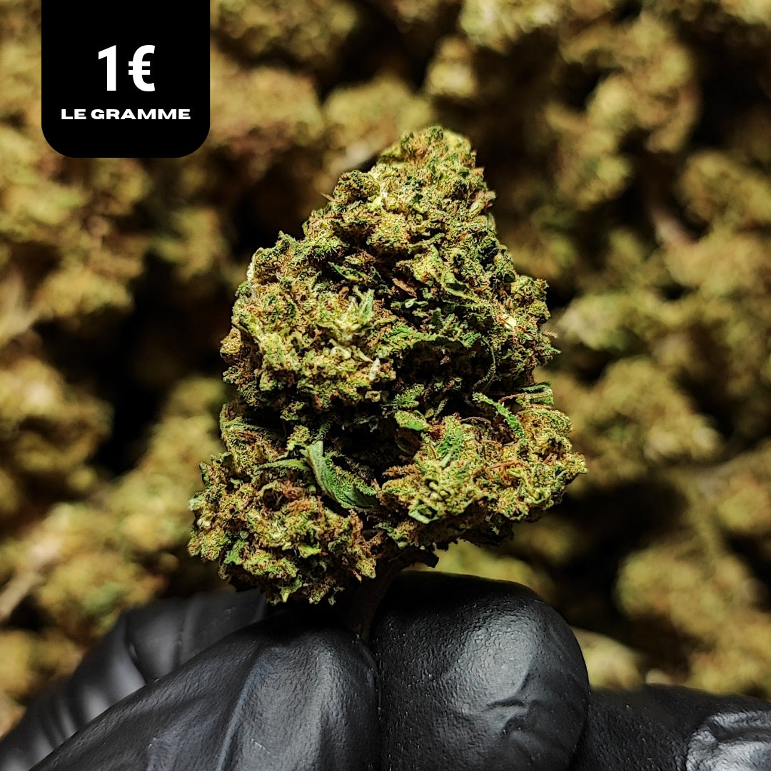 REMEDY | CBD | GLASSHOUSE | 10G