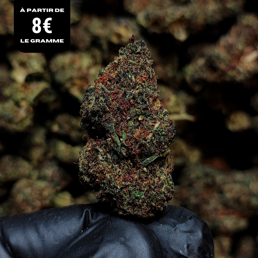 GUAVA ICE | X-TREM 2.0 30% | INDOOR