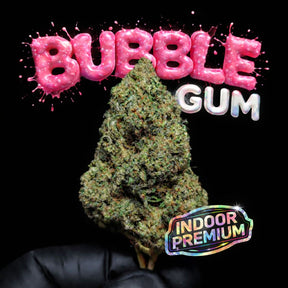 BUBBLEGUM | CBD | INDOOR