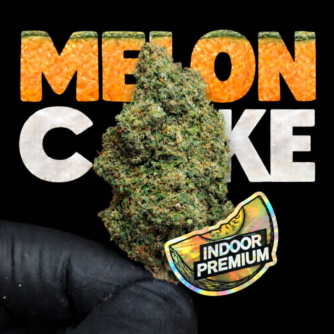 MELON CAKE | CBD | INDOOR HYDRO